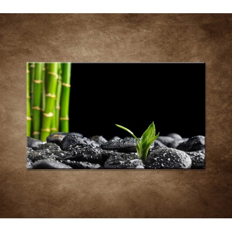 Obraz na stenu - Čierne kamene a bambus