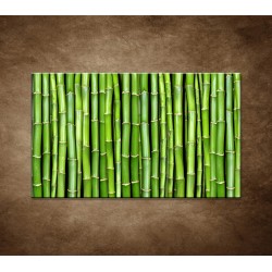 Obraz na stenu - Bambus