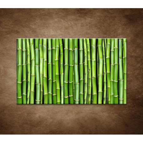 Obraz na stenu - Bambus