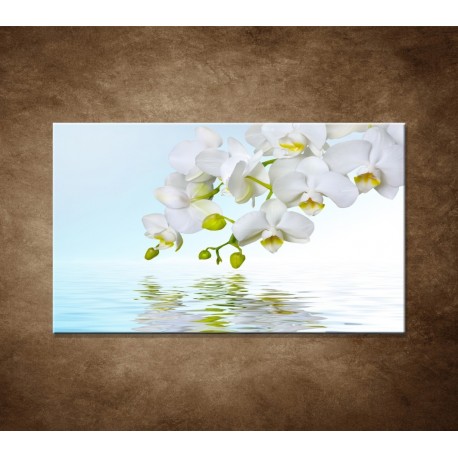 Obraz na stenu - Biela orchidea nad hladinou