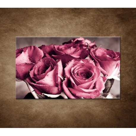 Obraz na stenu - Kytica ruží