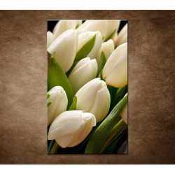 Kytica tulipánov - detail
