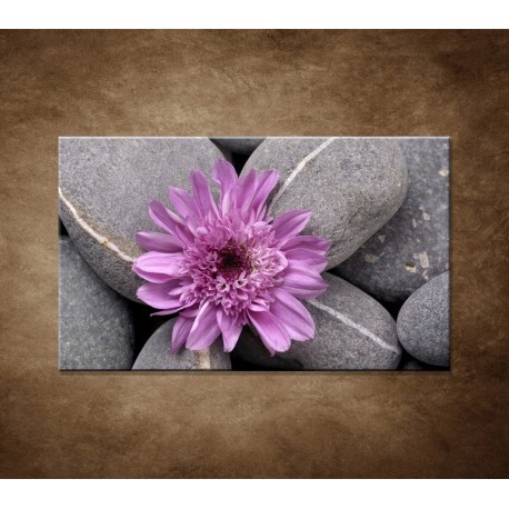 Obraz na stenu - Sivé kamene s kvetom