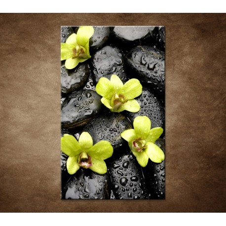 Obrazy na stenu - Kamene s kvapkami a orchideou