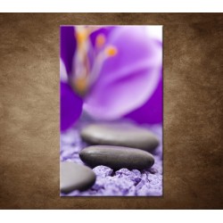 Obrazy na stenu - Kamene s fialovým kvetom