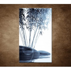 Obrazy na stenu - Bambus a kamene na vode