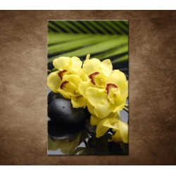 Obrazy na stenu - Žltá orchidea s kameňmi