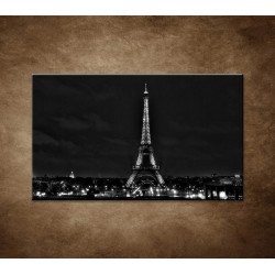 Obraz na stenu - Čiernobiela Eifelovka
