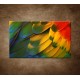 Obrazy na stenu - Farebné perie