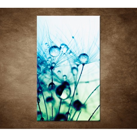 Obrazy na stenu - Kvapky vody na rastline