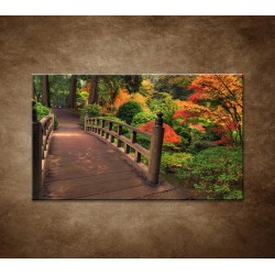 Obrazy na stenu - Jesenný park