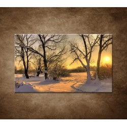 Obrazy na stenu - Krajina v zime