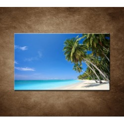 Obrazy na stenu - Pláž s palmami