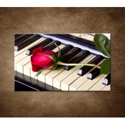Ruža na klavíri