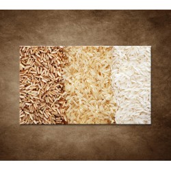 Obrazy na stenu - Tri druhy ryže