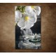 Obrazy na stenu - Biele kvety