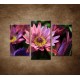 Obrazy na stenu - Lotosové kvety - 3dielny 75x50cm