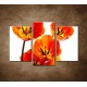 Obrazy na stenu - Oranžové tulipány - 3dielny 75x50cm