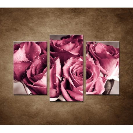 Obrazy na stenu - Kytica ruží - 3dielny 75x50cm