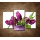 Obrazy na stenu - Svieže tulipány - 3dielny 75x50cm