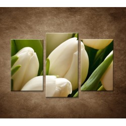 Kytica tulipánov - detail - 3dielny 75x50cm