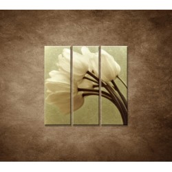 Obrazy na stenu - Kytica tulipánov - 3dielny 90x90cm