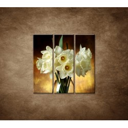 Obrazy na stenu - Narcisy - 3dielny 90x90cm