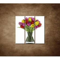 Obrazy na stenu - Tulipány vo váze - 3dielny 90x90cm