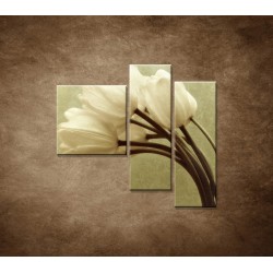 Obrazy na stenu - Kytica tulipánov - 3dielny 110x90cm