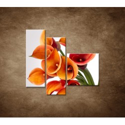 Obrazy na stenu - Oranžové kaly - 3dielny 110x90cm