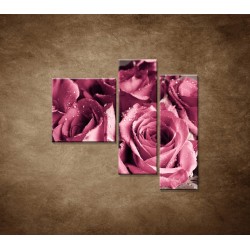 Obrazy na stenu - Kytica ruží - 3dielny 110x90cm