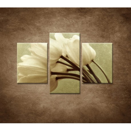 Obrazy na stenu - Kytica tulipánov - 3dielny 90x60cm