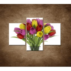 Obrazy na stenu - Tulipány vo váze - 3dielny 90x60cm