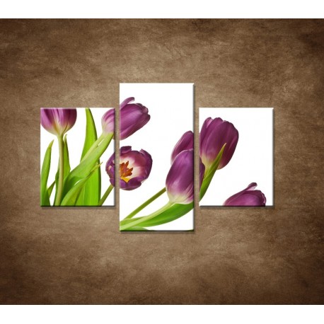 Obrazy na stenu - Fialové tulipány - 3dielny 90x60cm