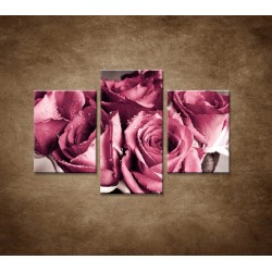 Obrazy na stenu - Kytica ruží - 3dielny 90x60cm