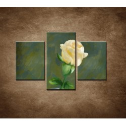 Obrazy na stenu - Maľovaná ruža - 3dielny 90x60cm