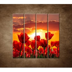 Západ slnka nad tulipánmi - 4dielny 120x120cm