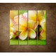 Obrazy na stenu - Žltá orchidea - 4dielny 120x120cm
