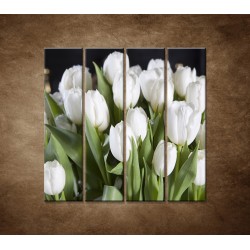 Obrazy na stenu - Biele tulipány - 4dielny 120x120cm