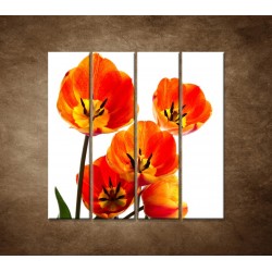 Oranžové tulipány - 4dielny 120x120cm