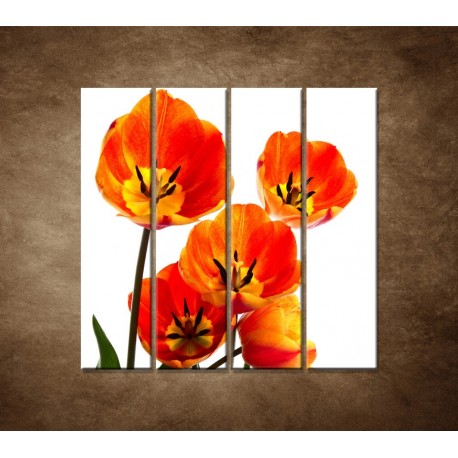 Obrazy na stenu - Oranžové tulipány - 4dielny 120x120cm