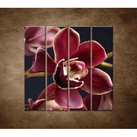 Obrazy na stenu - Bordová orchidea - 4dielny 120x120cm