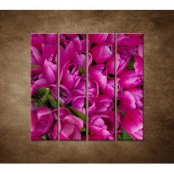 Obrazy na stenu - Krásne tulipány - 4dielny 120x120cm