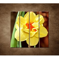 Narcis - detail - 4dielny 120x120cm
