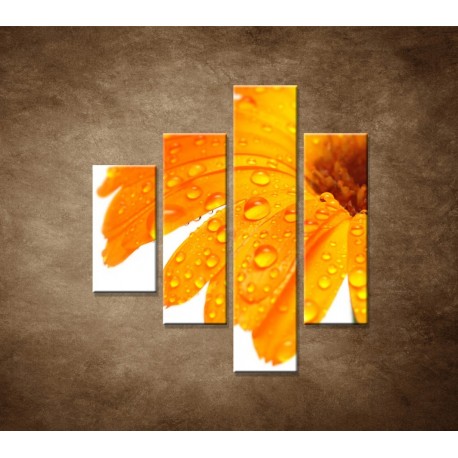 Obrazy na stenu - Oranžová gerbera - 4dielny 80x90cm