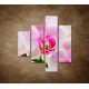 Obrazy na stenu - Ružová orchidea - 4dielny 80x90cm