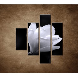 Obrazy na stenu - Kvet magnólie - 4dielny 80x90cm