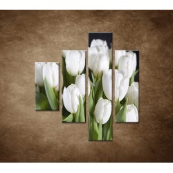 Obrazy na stenu - Biele tulipány - 4dielny 80x90cm