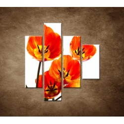Obrazy na stenu - Oranžové tulipány - 4dielny 80x90cm