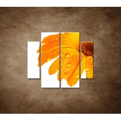 Obrazy na stenu - Oranžová gerbera - 4dielny 100x90cm